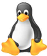 Linux Virtuālie Serveri